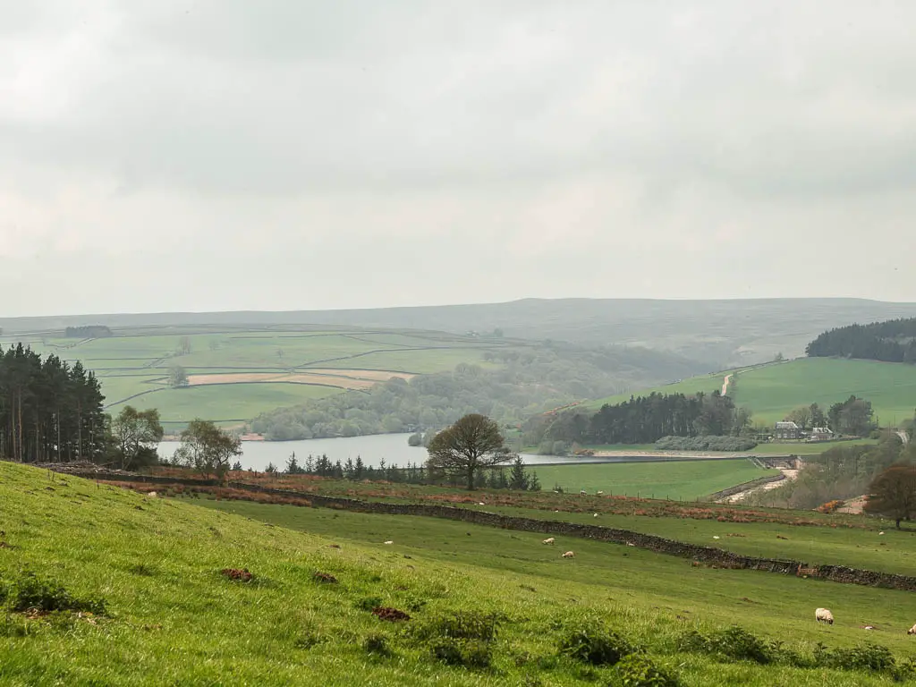 Looking down the grass hill fields to the reservoir at the bottom, near the end of the Druid's Temple circular walk.