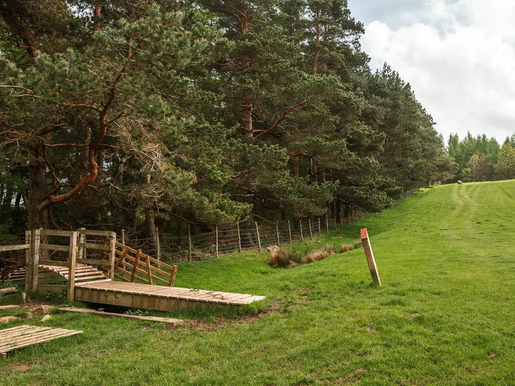 A wooden walkway and bridge on the left, leading into the woods, with a grass field on the right.