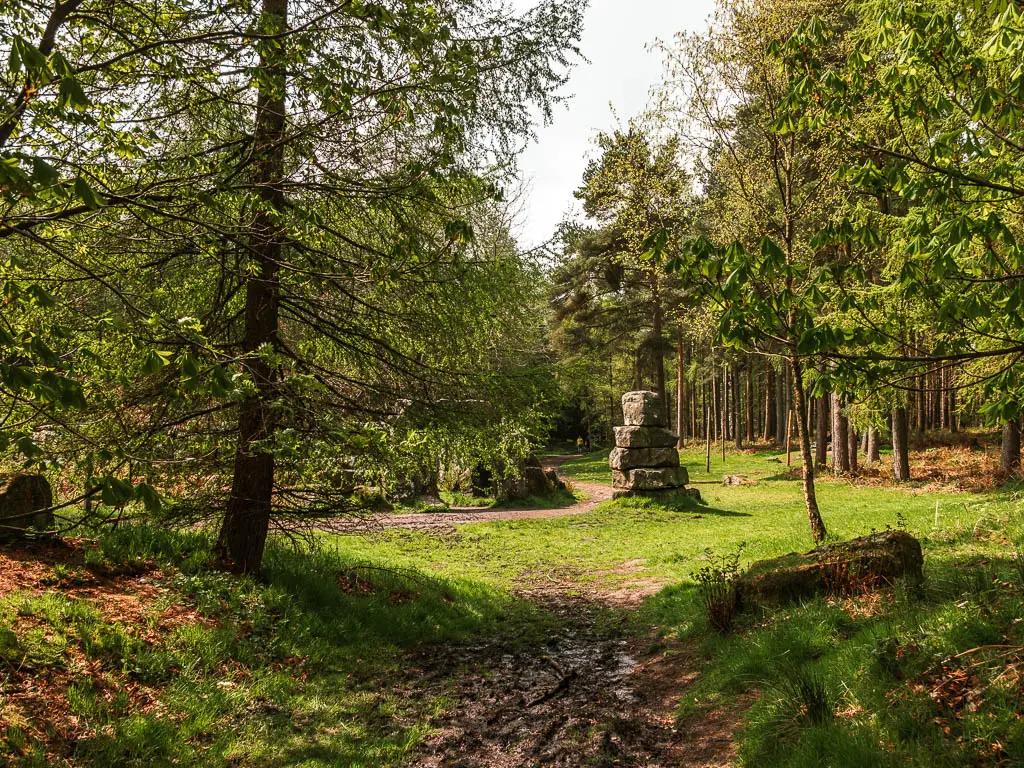 A muddy path of trail in the woods, leading to an opening with some of the stones of Druid's Temple visible ahead.