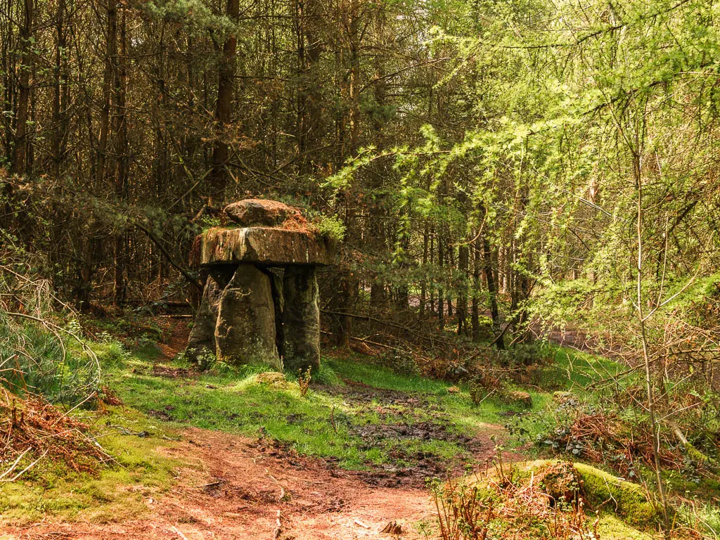 A stone structure surrounded by woodland trees on the walk around Druid's Temple.