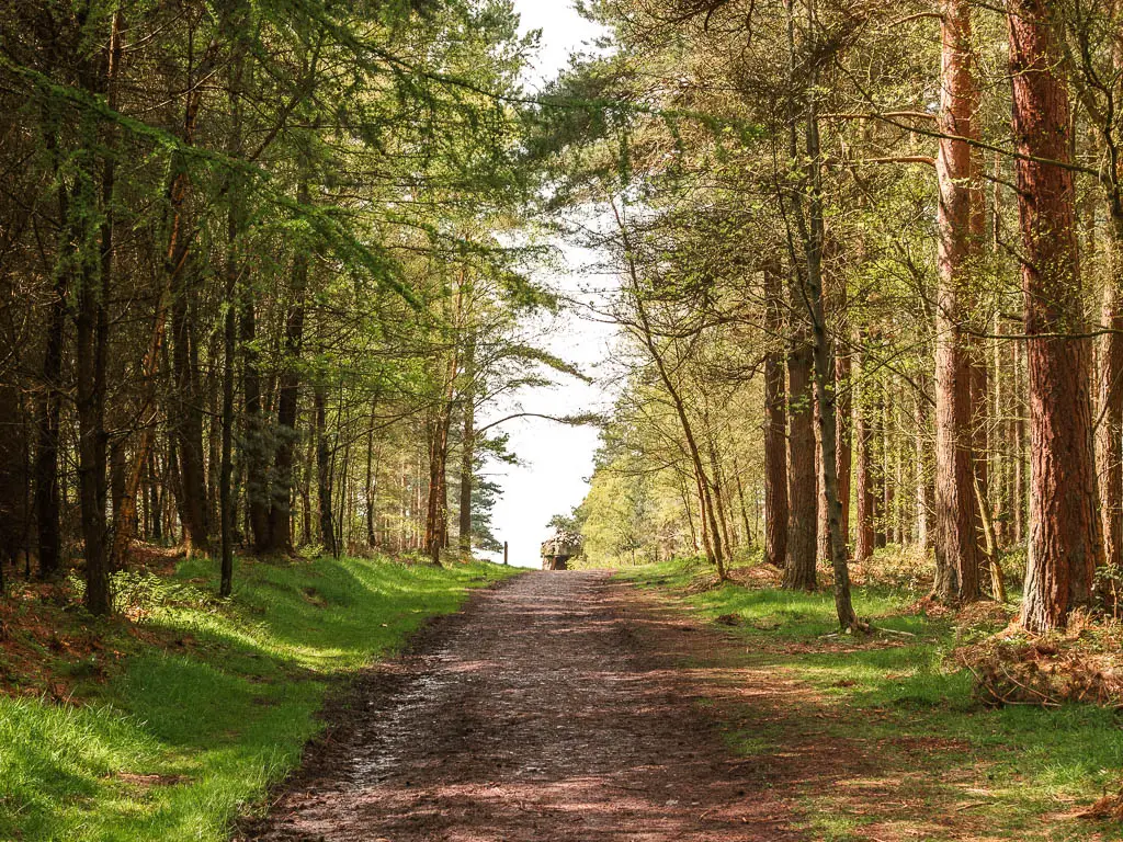 A wide dirt trail through the woods on the walk away from Druid's Temple, leading to an opening of light straight ahead.