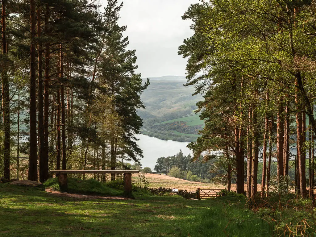 Looking down the hill, through a gap in the trees, to the reservoir below on the walk through the woods around Druid's Temple.