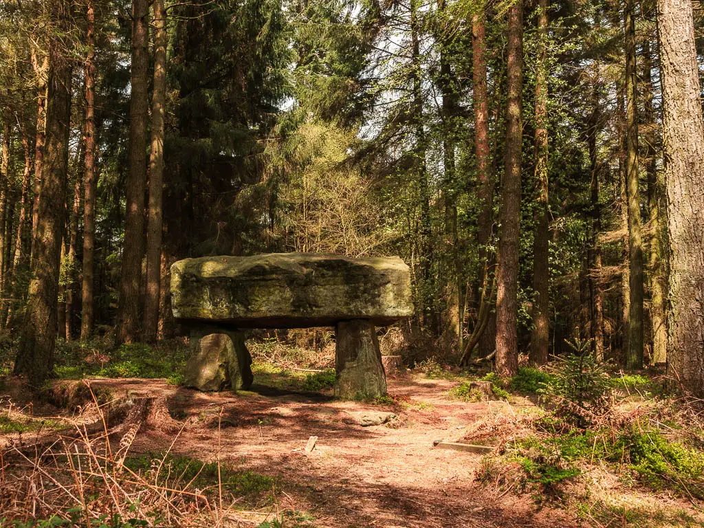 A stone structure surrounded by woodland trees, with small rays of light shining down on it, near the end of the walk around Druid's Temple.