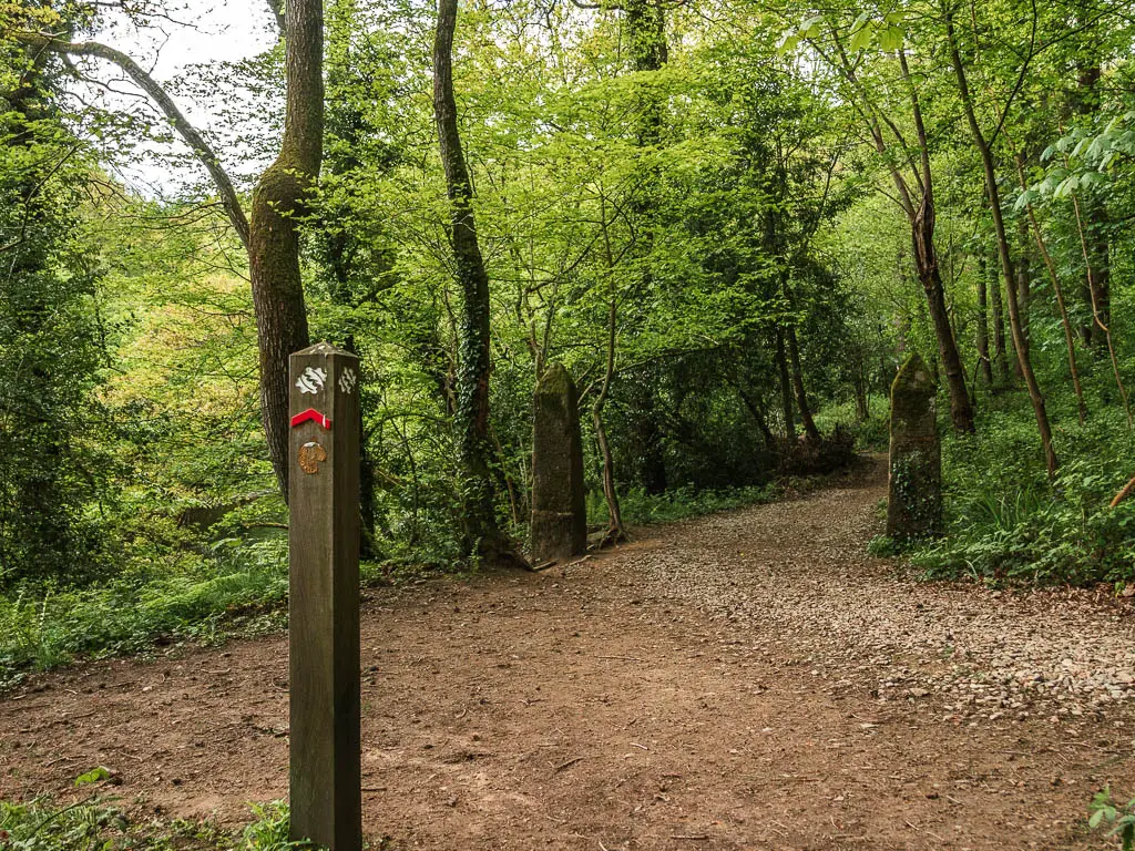 An open area in the woods, with a wooden trail signpost with a red arrow pointing ahead.