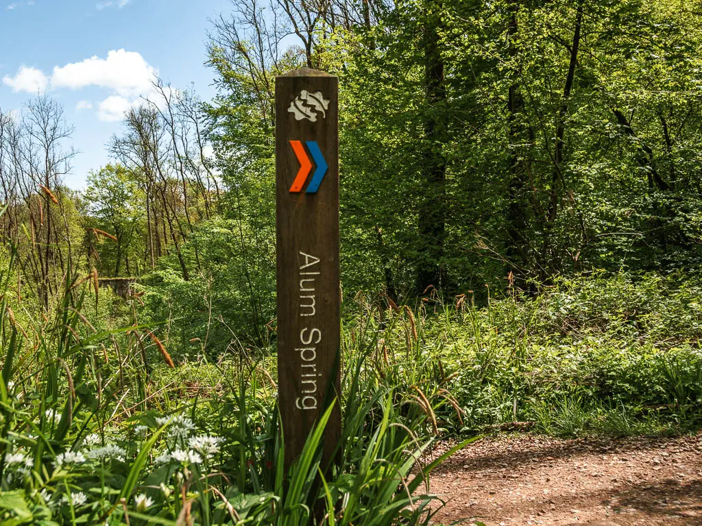 A wooden trail signpost pointing right to Alum Spring.