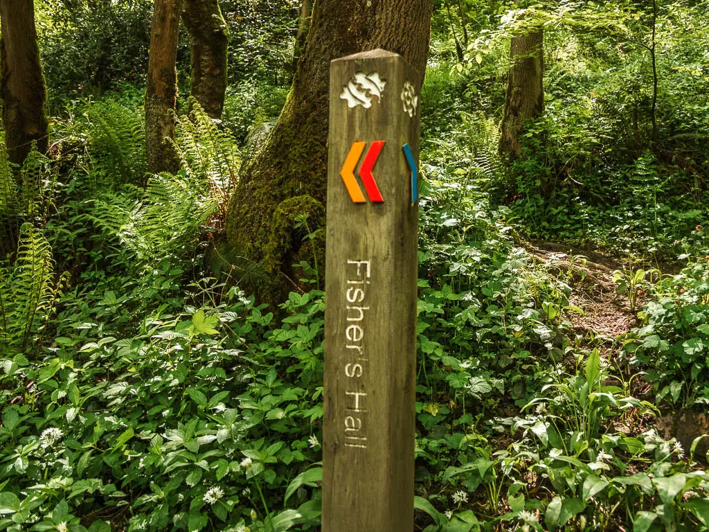 A wooden trail signpost pointing left to Fishers Hall.