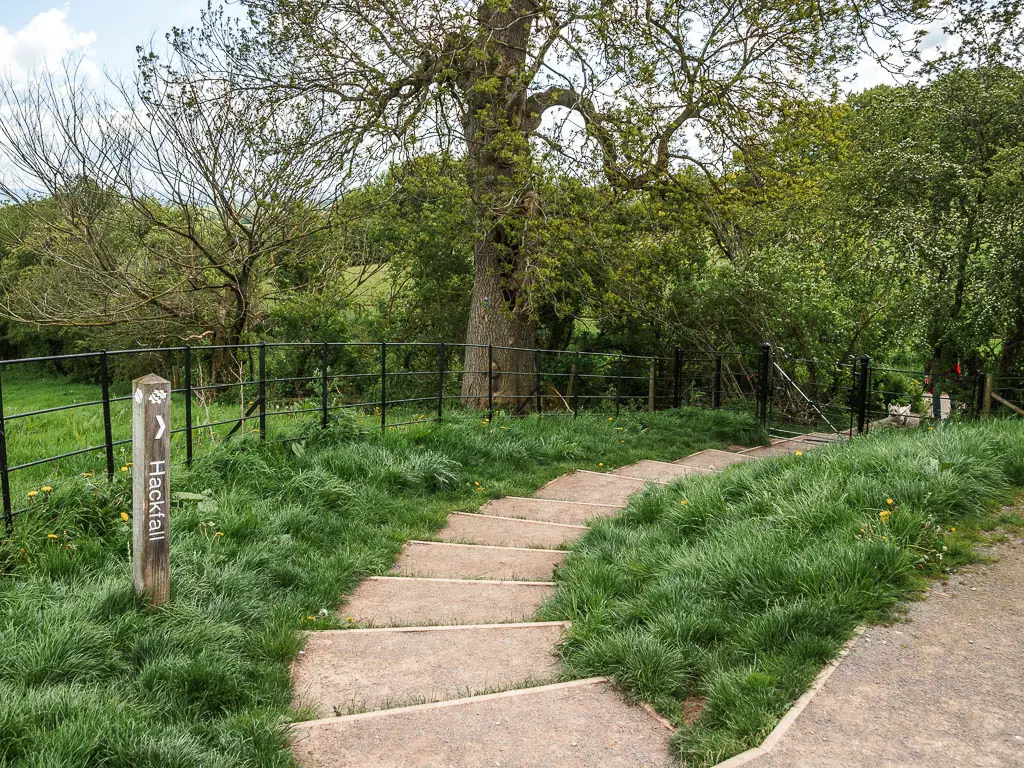 Steps leading down to the right, with a wooden signpost on the left, pointing the way to walk to Hackfall Woods. The steps are lined with grass strips, and the is metal railings on the left. 