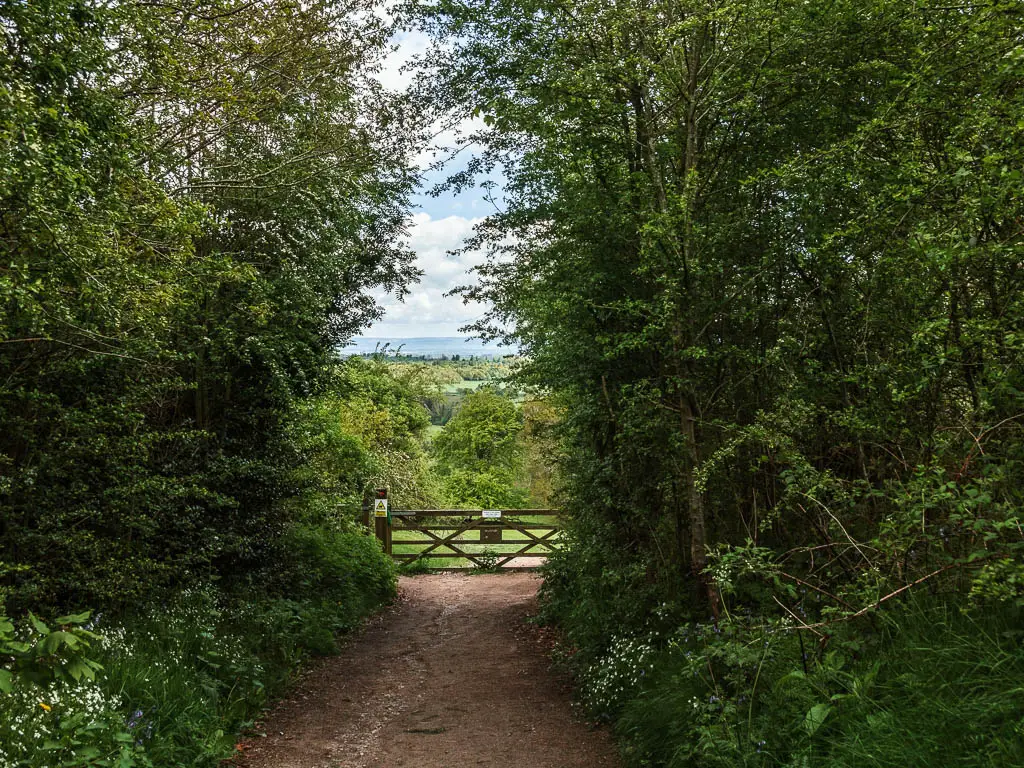 A wide dirt path leading through the bushy trees, with a wooden gate leading to the open, with the sun shining down ahead.