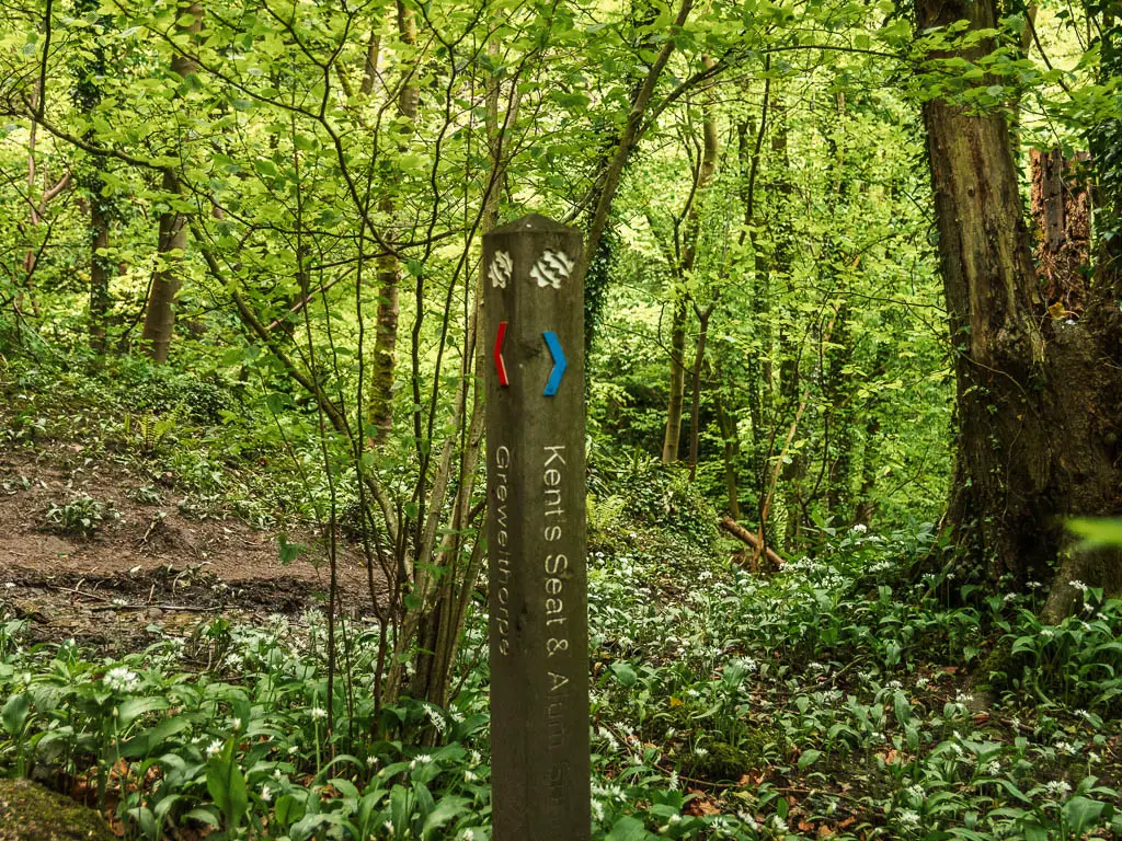 A wooden trail signpost in the green leafy woods. The sign points to the right and left.