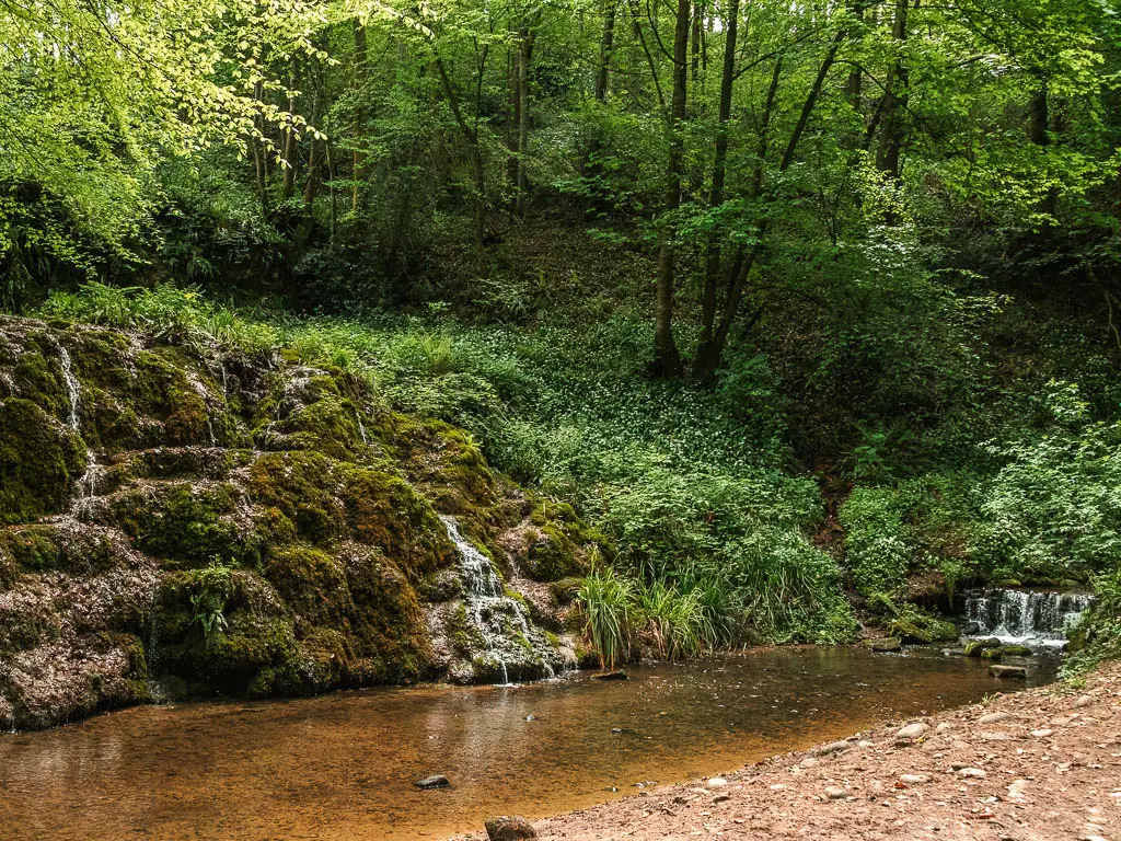 A small stream of water in the woods, with water cascading down the rocks on the other side, and a small waterfall to the right. 