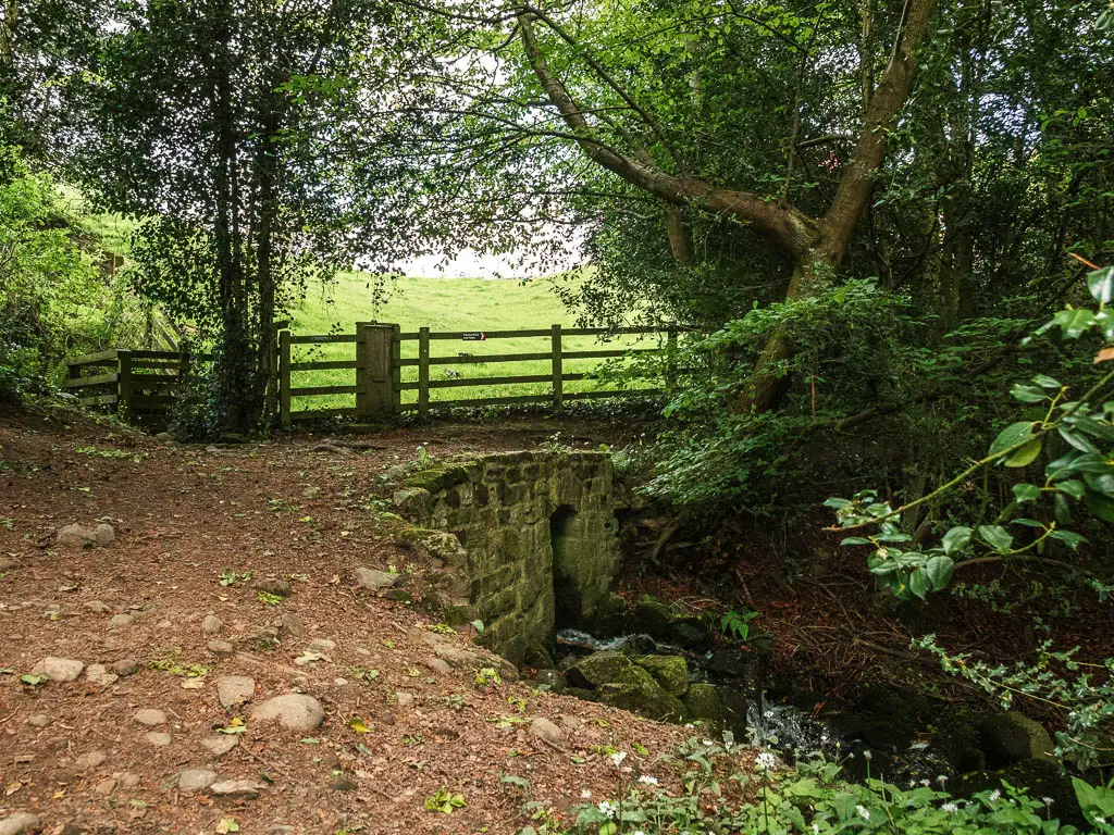 The path leading over a small stone bridge in the woods.