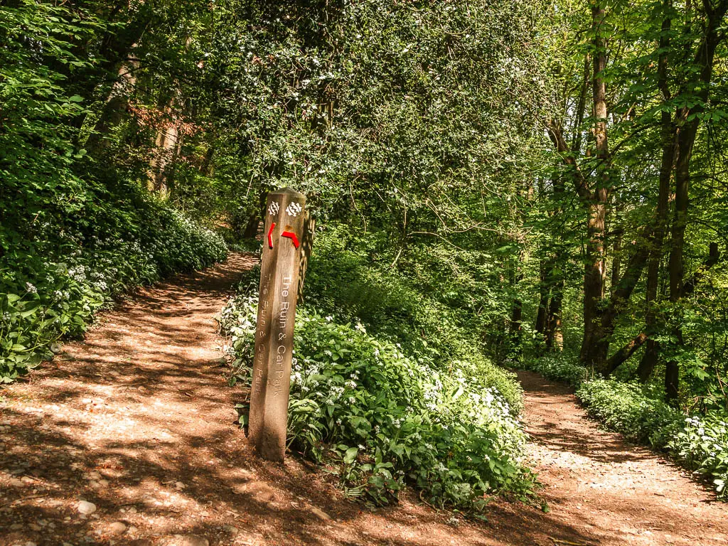 A dirt trail split, with a wooden signpost in the middle. The trails are lined with white flowers with green leaves.