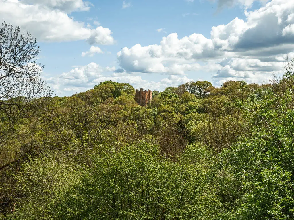 Looking over a mass of green leafy tree top, to a folly poking over the top in the distance, on the Hackfall Woods circular walk.