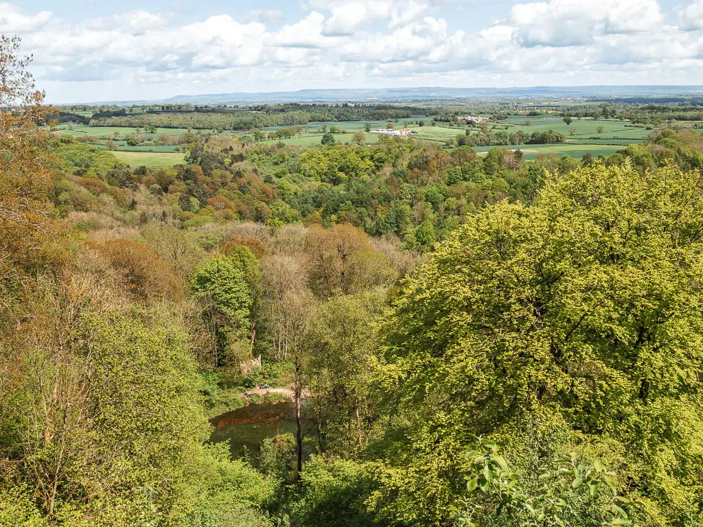 Looking down and across the tree tops of Hackfall Woods, near the end of the walk. The tree tops lead towards green fields as far as the eye can see.