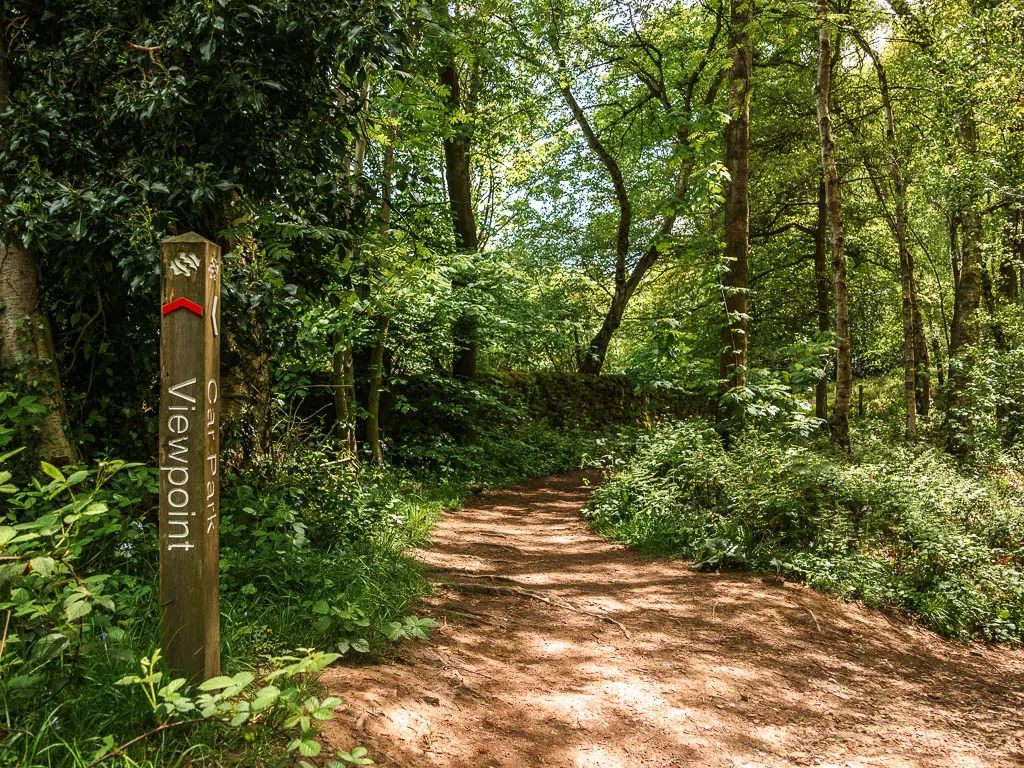 A dirt trail in the woods, with a wooden sign on the left with a red arrow pointing ahead to the viewpoint. 