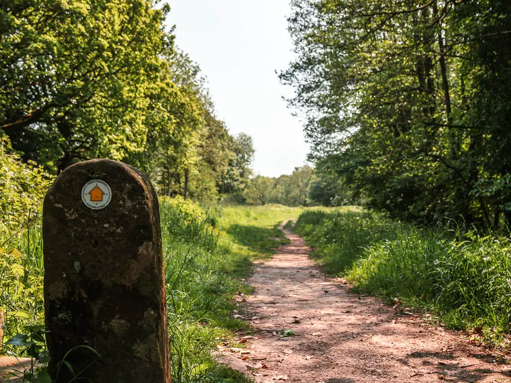 A stone signpost with an orange arrow pointing along the trail ahead. 