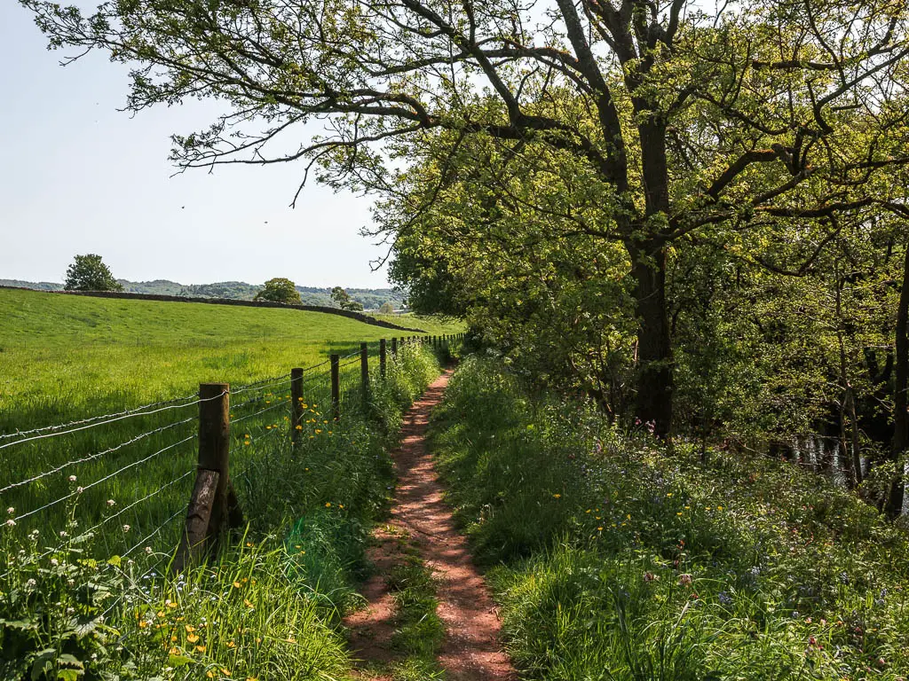 A narrow dirt trail, lined with grass on the right and a big grass field on the left. There is a wire fence separating the path from the field. 