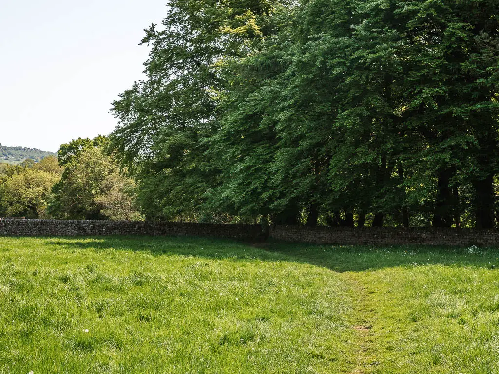 A large grass field with a stone wall on the other side, and big trees overhanging the wall.