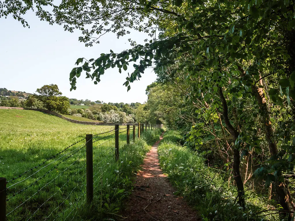 A dirt path, with a wire fence and field on the left, and trees overhanging the path on the right.