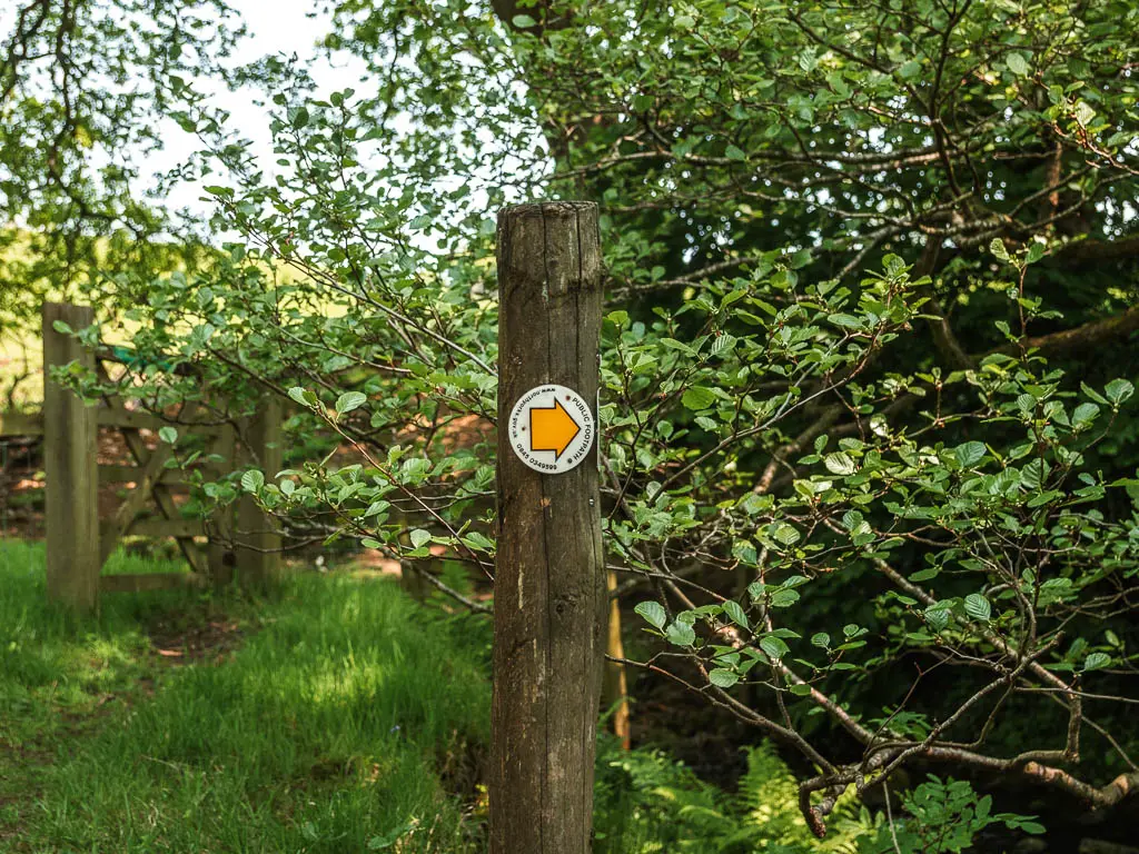 A wooden stump signpost with a yellow arrow pointing right.