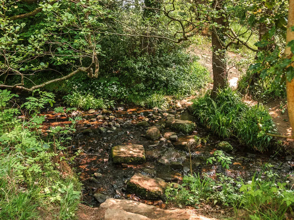 A few stepping stone over the stream of water.