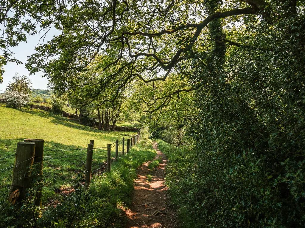 A rugged dirt trail with green leaved trees and bushes over hanging the trail on the right, and a wire fence and field on the left.