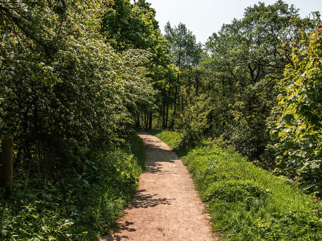 A path lined with green grass, bushes and trees, on the walk out of  Pateley Bridge.