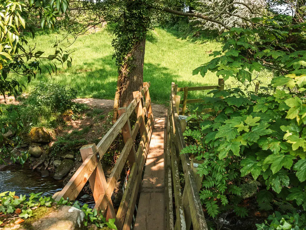 A wooden bridge over the stream of water. There are big green leave son the right side of the bridge, and a grassy area on the other side.