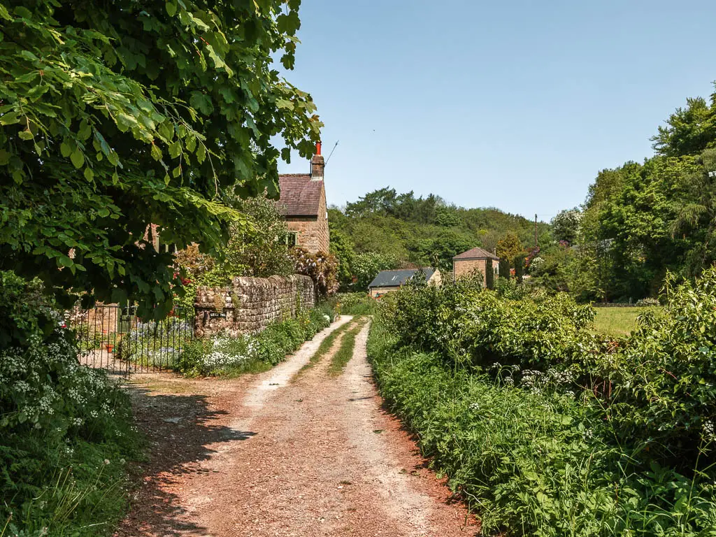 A dirt driveway redlined with green bushes on the right, and a stone wall on the left, with part of a stone walled cottage visible on the other side of the wall. 