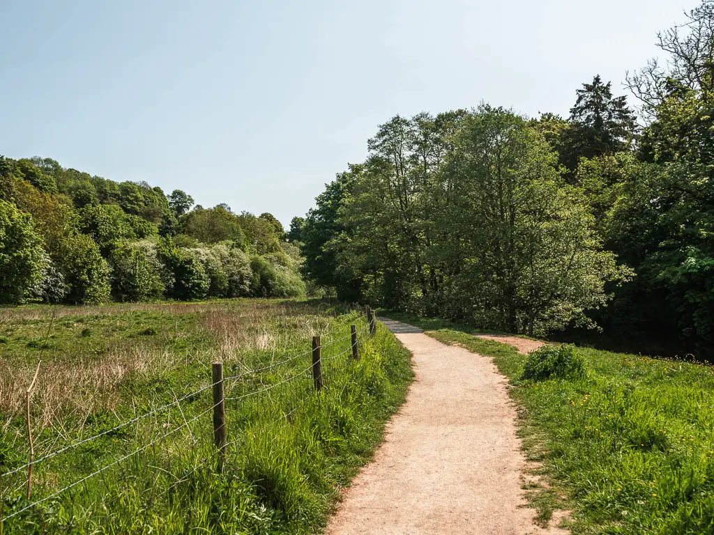 A path leading to green leafy trees. There is a large field with overgrown green grass on the left side of the path, and a strip of grass along the right.