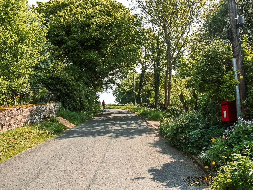 A road leading uphill, with flower bushes and red post box on the right, and a stone wall and big bushes and trees on the left. There is a cyclist at the top of the road, cycling up.