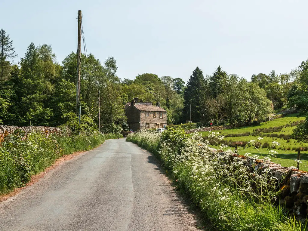 A road leading straight towards a stone walled house. the road is lined with white flowers, overgrown grass and a stone wall. There are masses of woodland trees behind the house. 