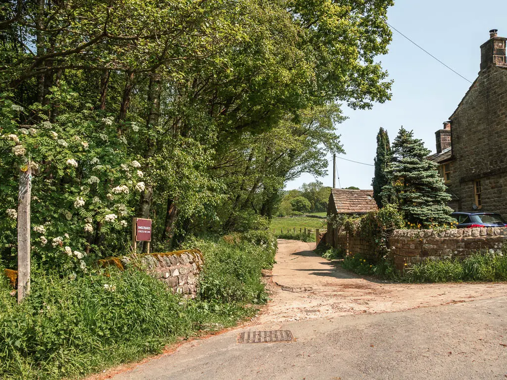 A path leading off the main road, with part of a house visible on the right side, and bushes and trees on the left side.