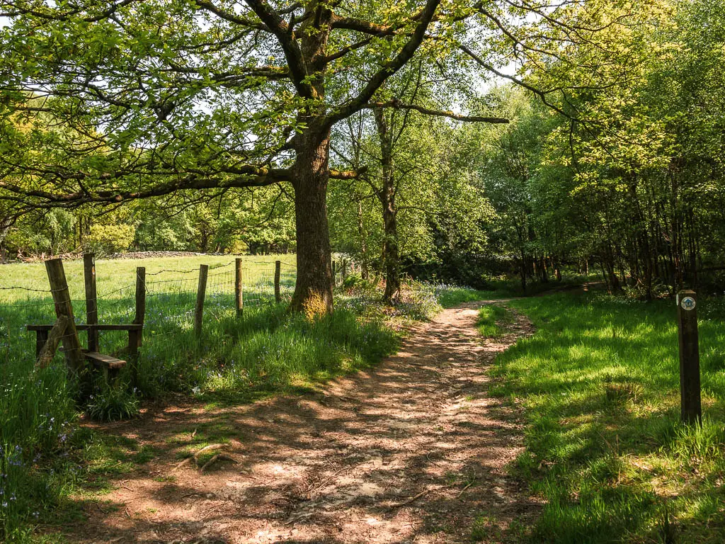 A dirt path, with a grass strip on the right, and a wore fence and wooden stile on the left. There is a wooden stump trail signpost on the right side of the path. 