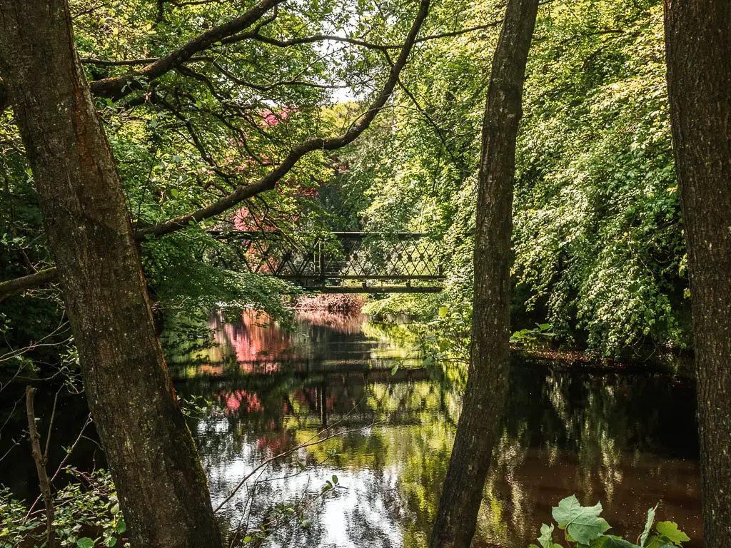 Looking through a gap in the trees, to a cute bridge over the river, on the walk out of Pateley Bridge.