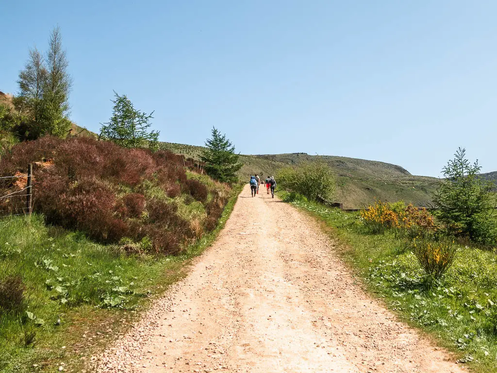 An uphill wide gravel path lined with grass and heather, and lots of people walking ahead.