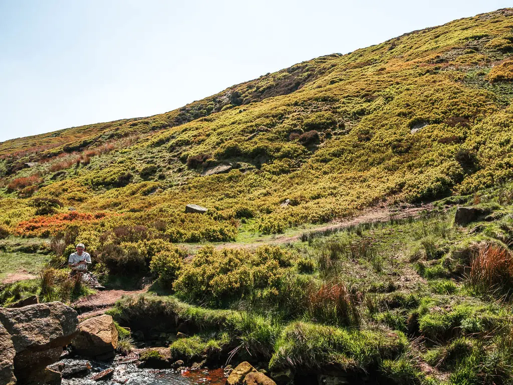 A dirt trail running up the grass hill ahead. 