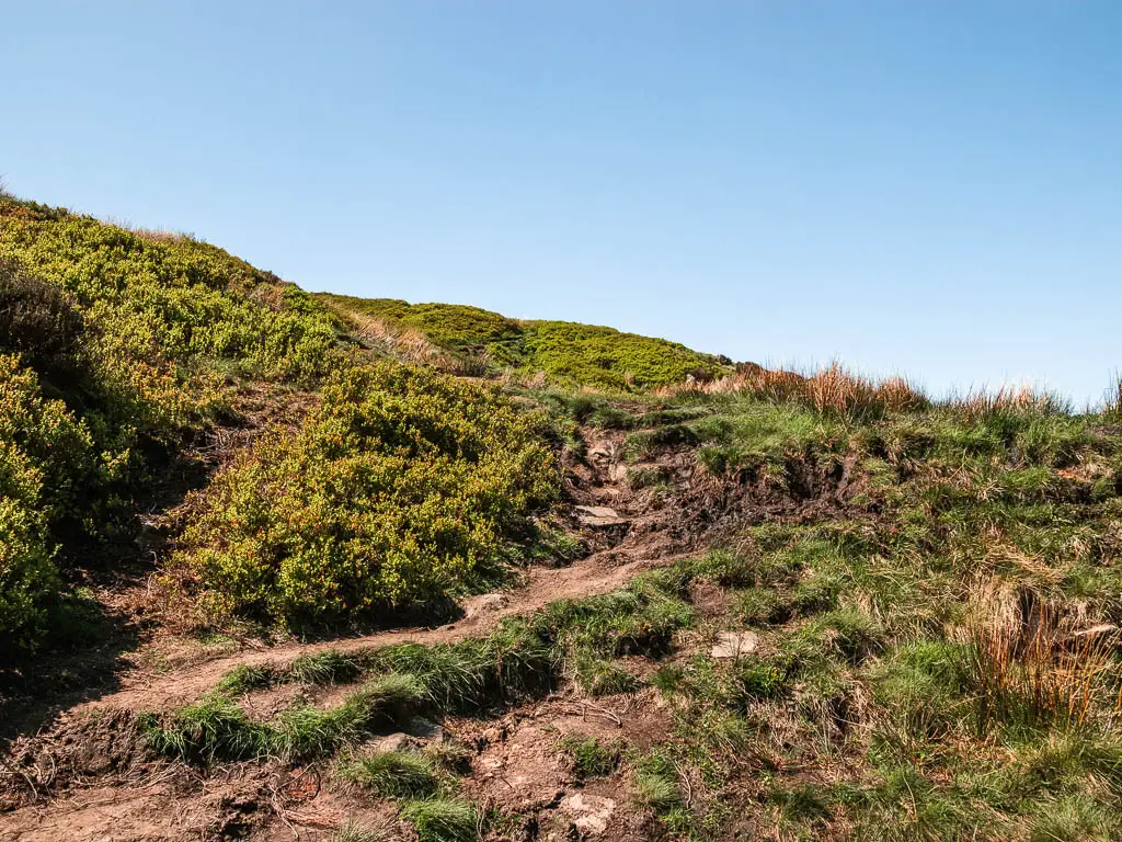 A rugged dirt trail leading up the hill with patches of grass and small bushes. 