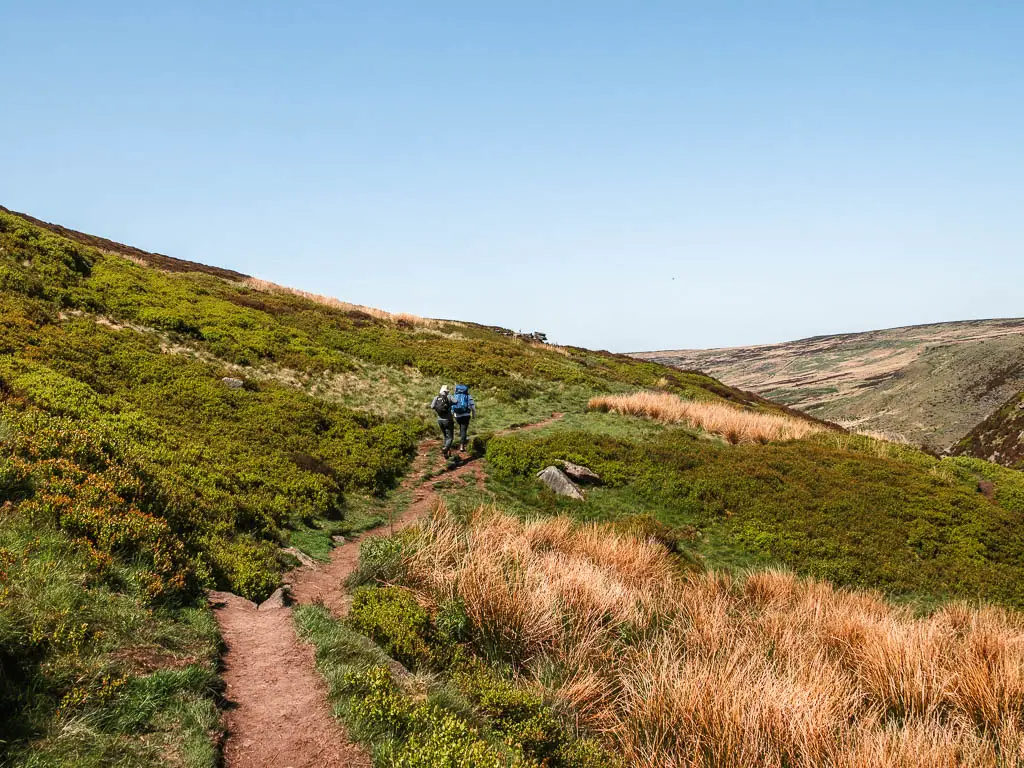 A couple of people walking along the rugged dirt trail which leads through the grass ahead, on the way to the Trinnacle.