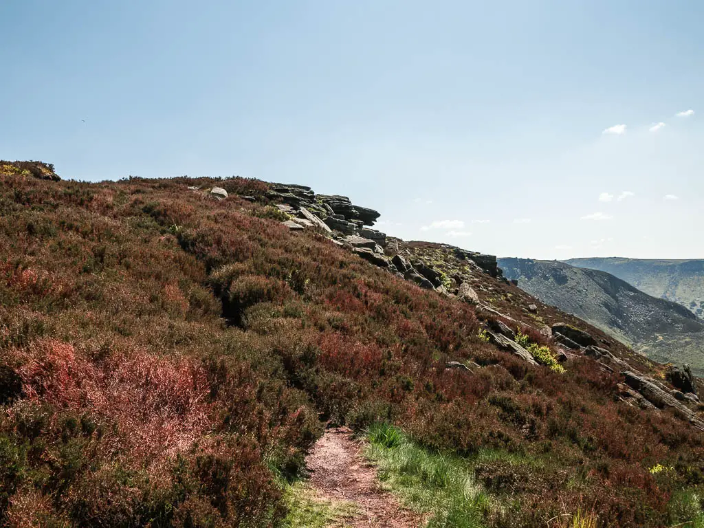 A thin trail leading up through the heather.