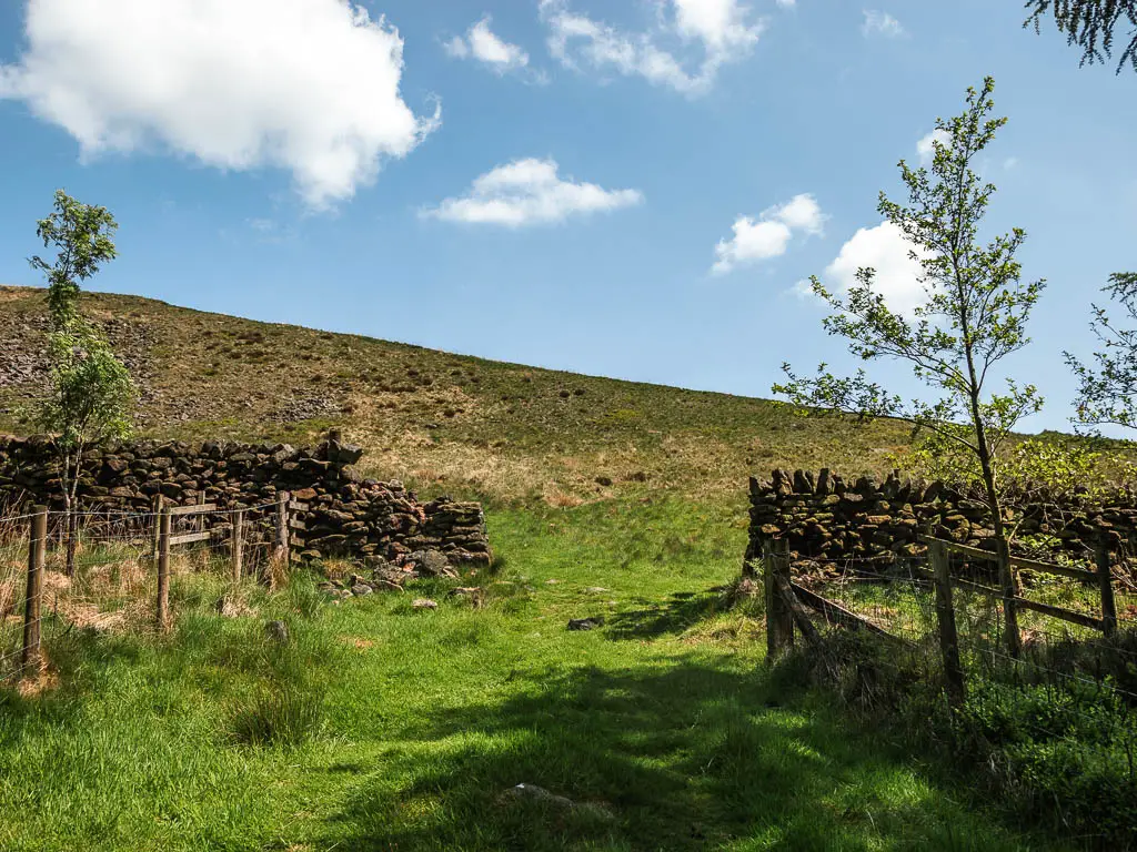 The wide grass trail leading uphill through a gap in the stone wall.