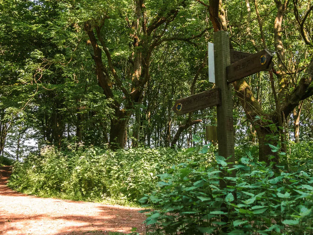 A wooden trail signpost in the bushes on the right. with the path to the left.