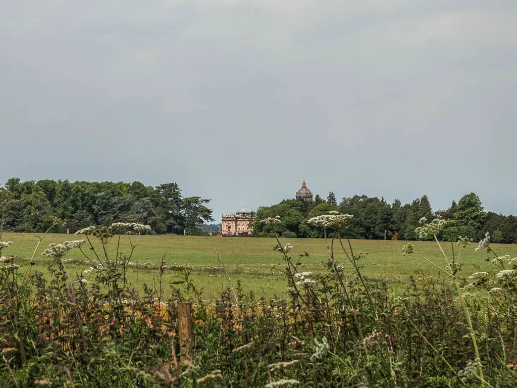 Looking above the plants and across the field, to Castle Howard in the distance, partway through the walk.