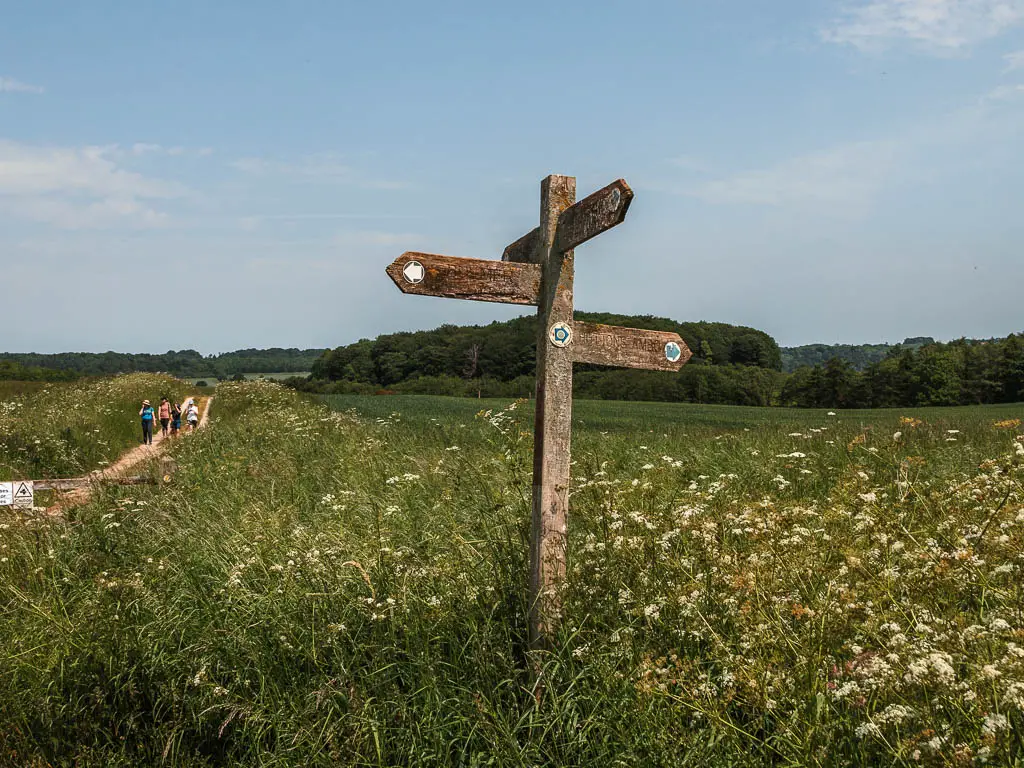A wooden trail signpost sticking out of the bushes, with a path to the left. There are a few people walking along the path.