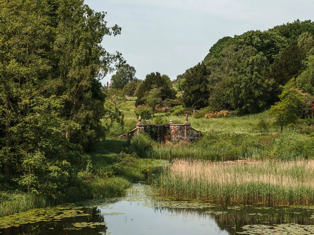 Looking across the pond to a fountain ahead. The pond is surround by tall grass and green leafy trees.