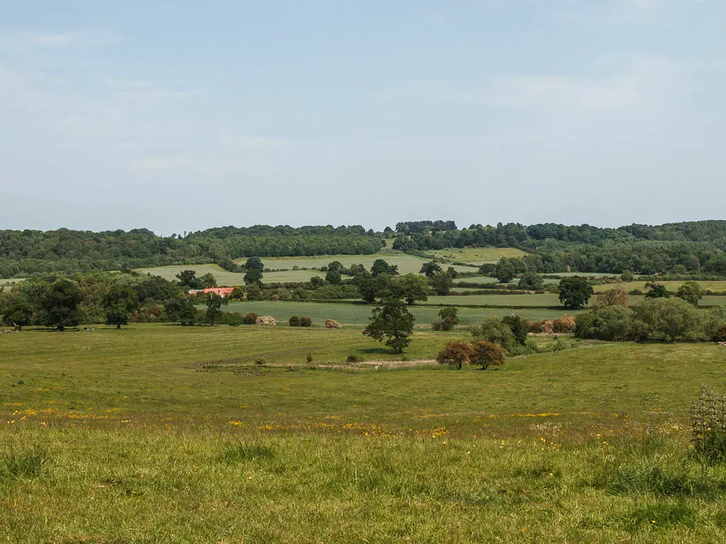 Looking across the green grass fields, with trees dotted about in the distance.