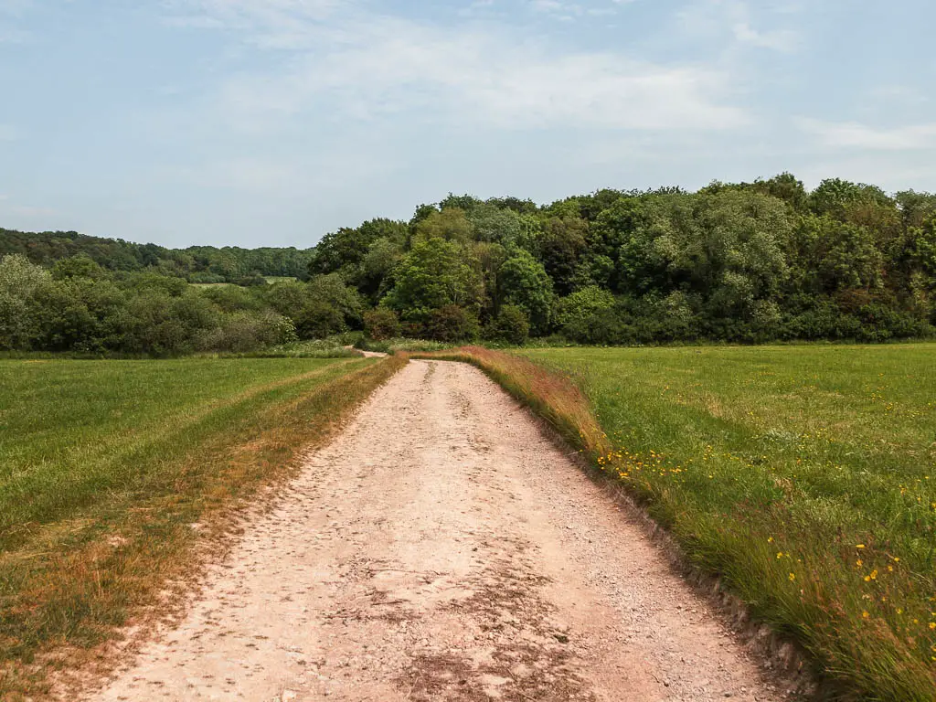 A wide path through the grass field, leading to woodland trees ahead.