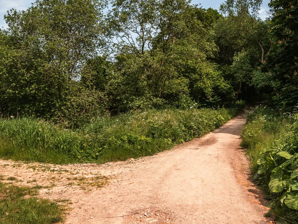 A path leading to the right, with a dirt trail offshoot to the left. The paths and trail are surrounded by green bushes, trees and grass.