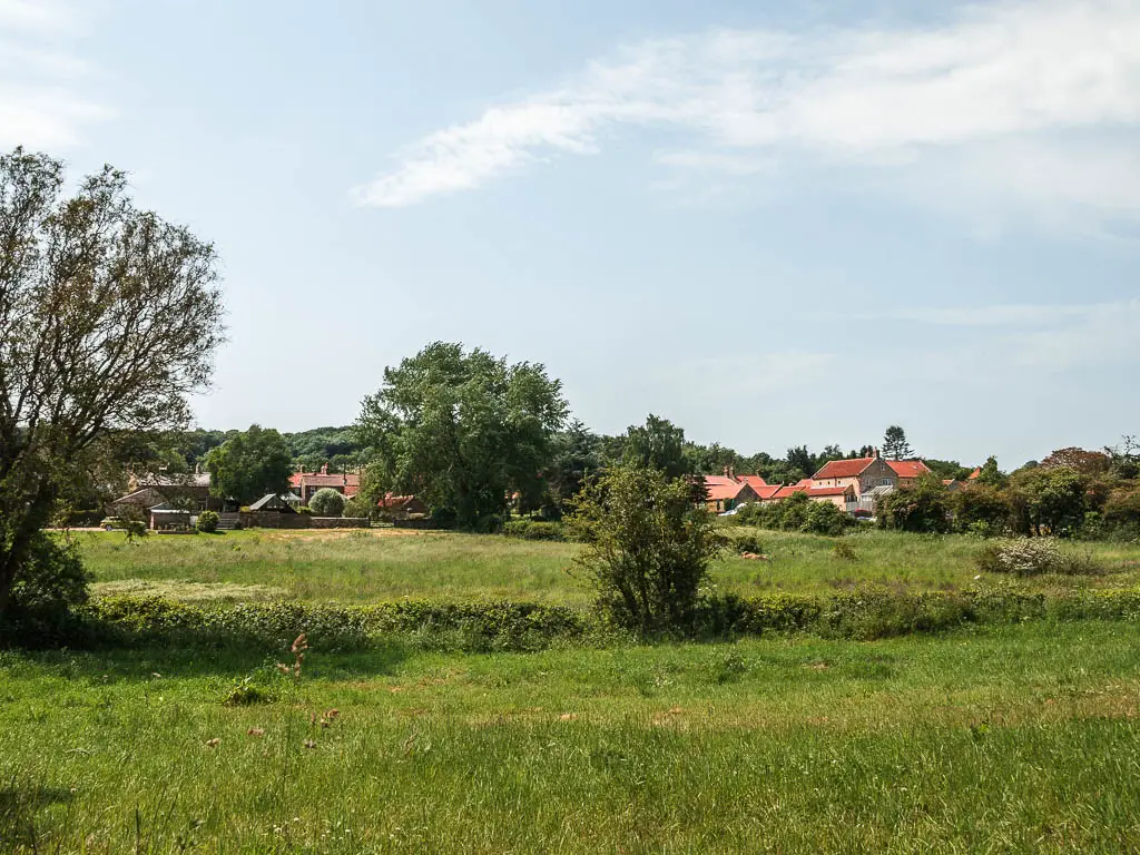 Looking across the grass fields, to the rooftops of Welburn, at the end of the Castle Howard circular walk.