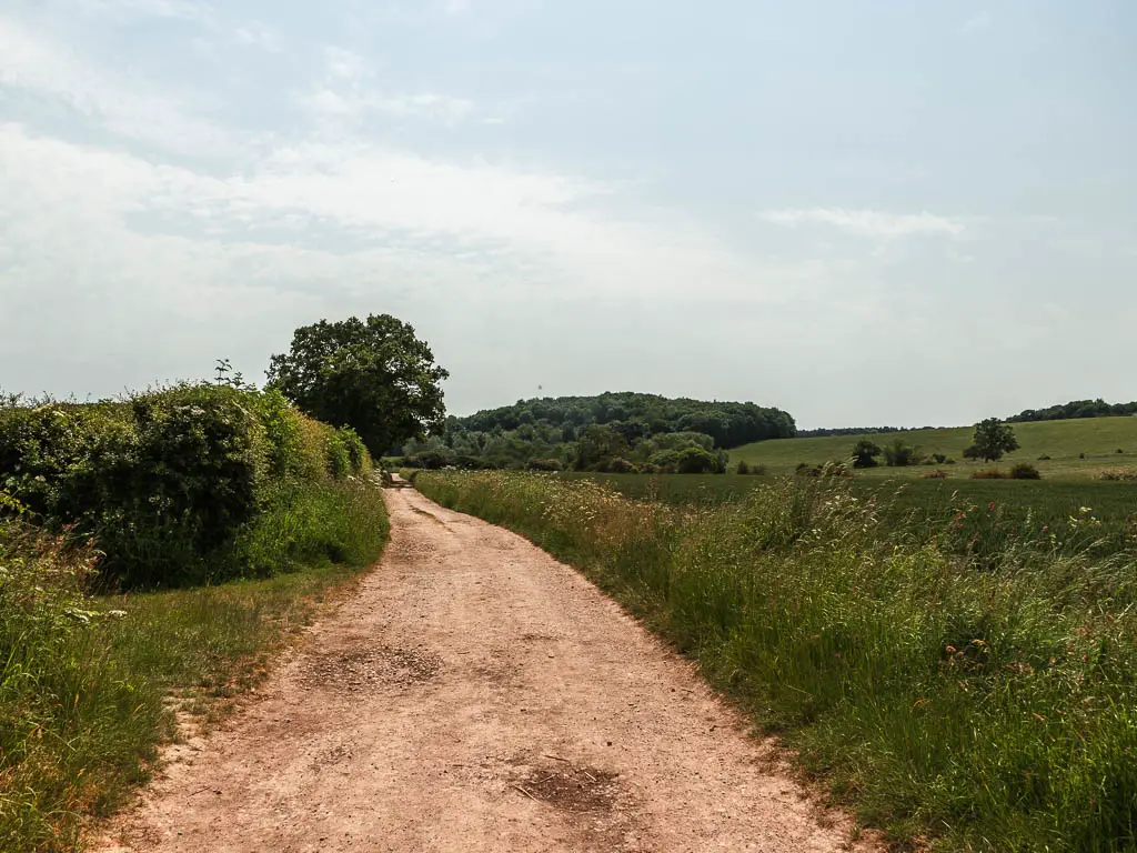 A wide path leading straight ahead, lined with a green hedge to the left and grass fields to the right.